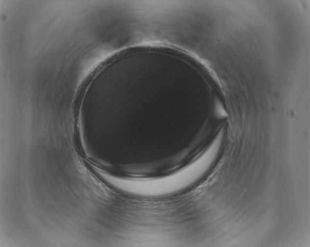 X0000089881319200706281340