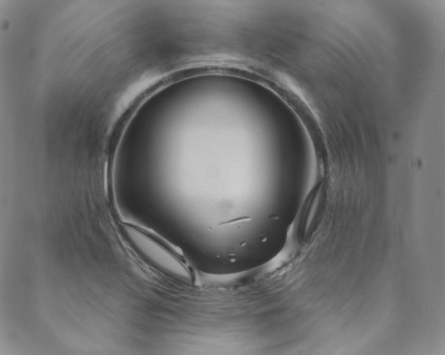 X0000089881320200706281340