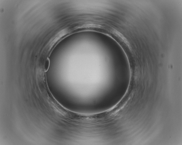 X0000089881321200706281340