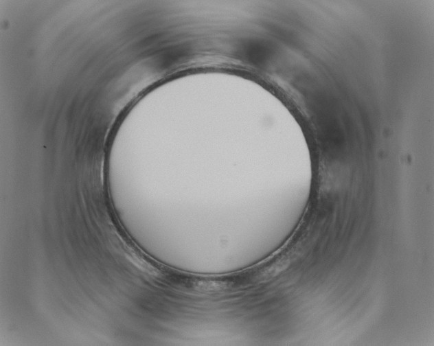 X0000089881322200706281340