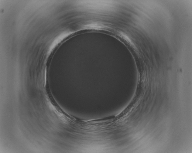 X0000089881323200706281340