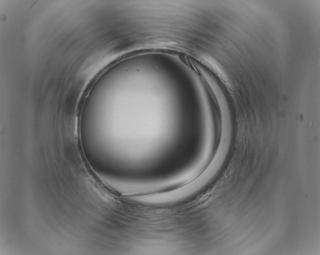 X0000089881324200706281340