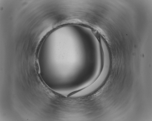 X0000089881326200706281340