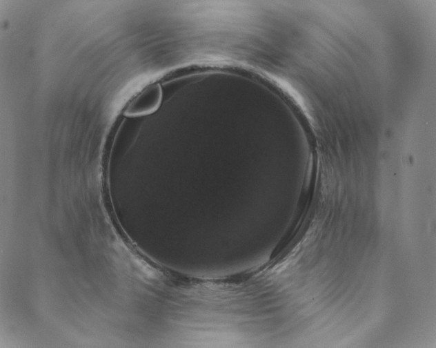 X0000089881327200706281340