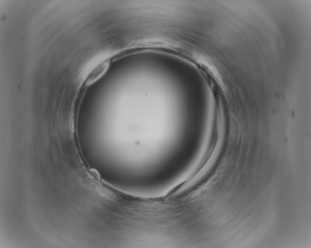 X0000089881328200706281340