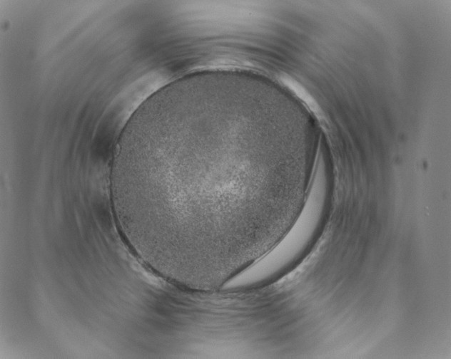 X0000089881329200706281340