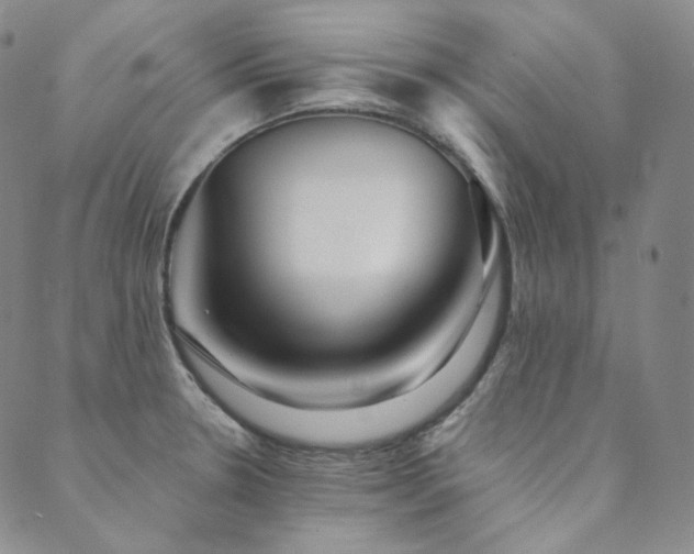 X0000089881330200706281340