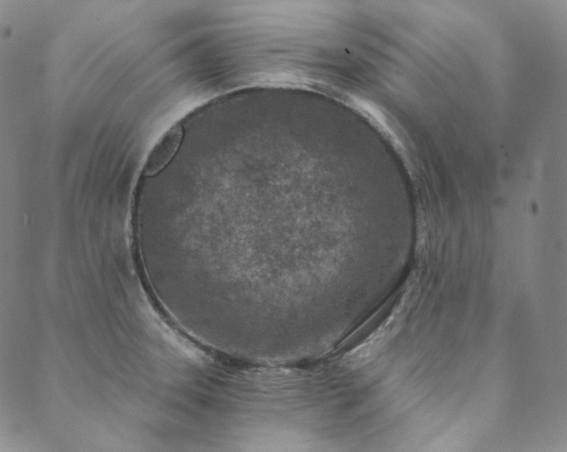 X0000089881331200706281340