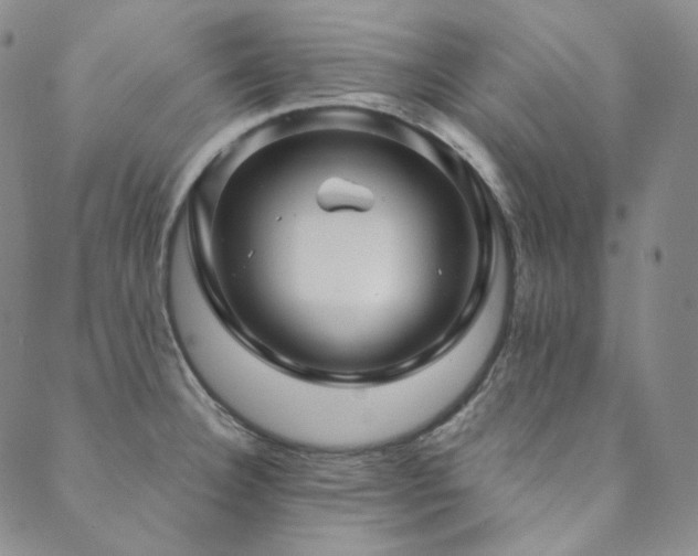 X0000089881332200706281340