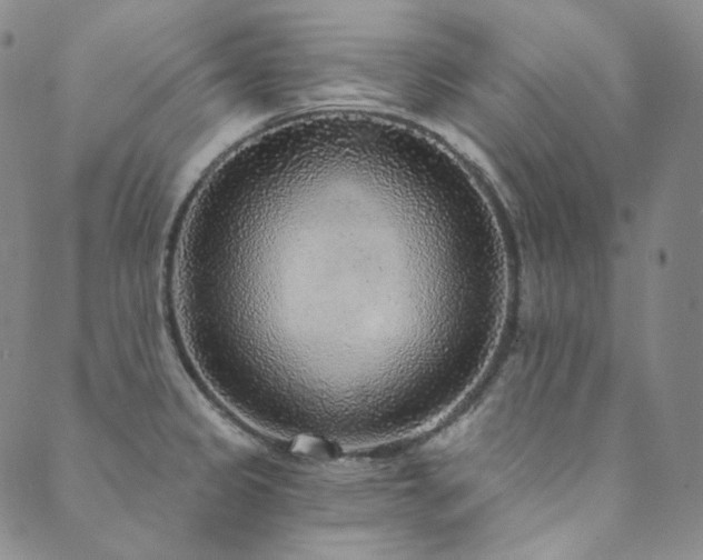 X0000089881333200706281340