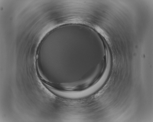 X0000089881334200706281340