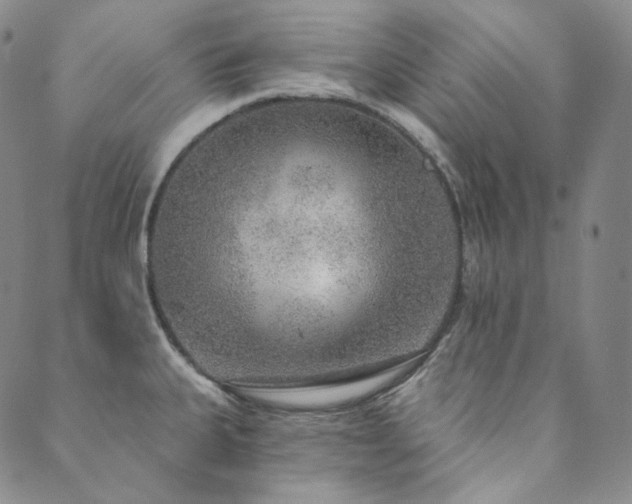 X0000089881335200706281340