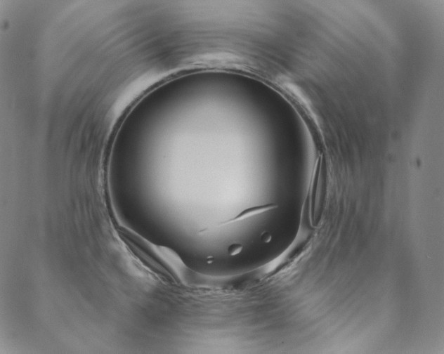 X0000089881336200706281340