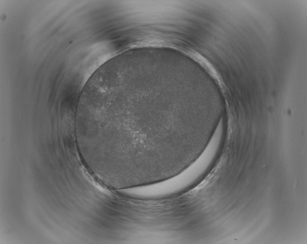 X0000089881337200706281340