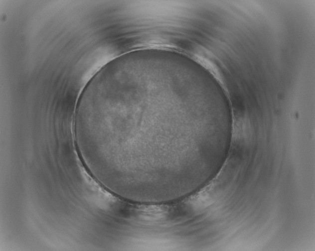 X0000089881338200706281340