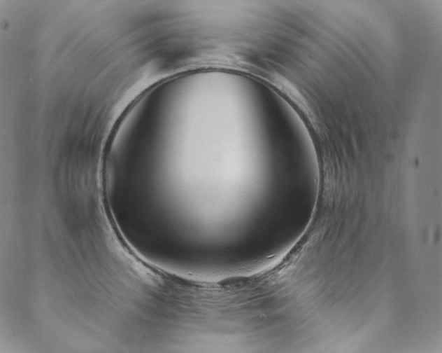 X0000089881339200706281340