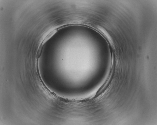 X0000089881340200706281340