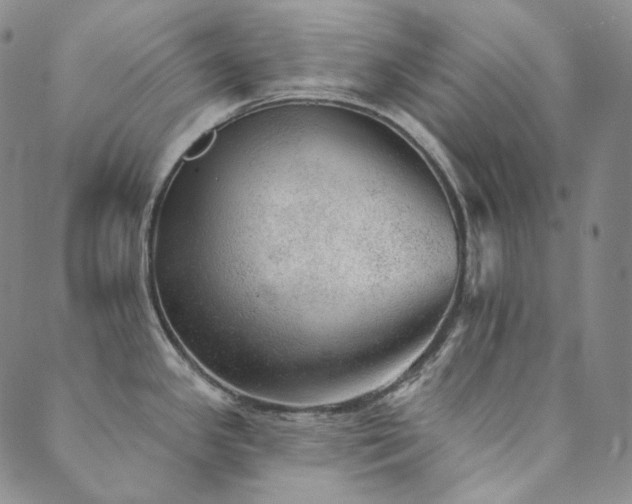 X0000089881341200706281340