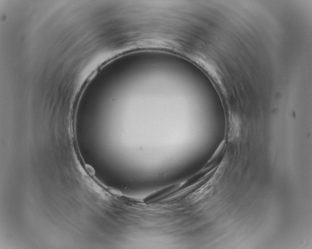 X0000089881342200706281340