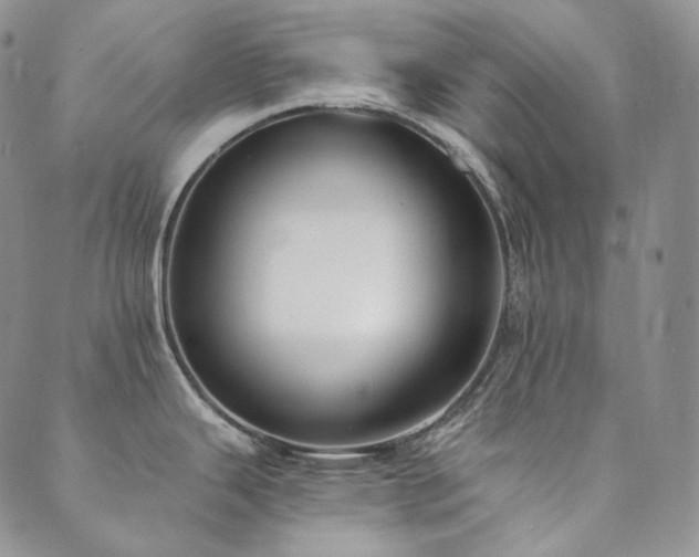 X0000089881343200706281340