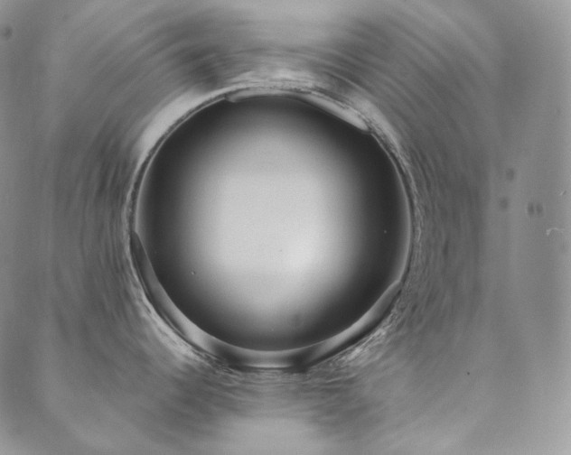 X0000089881344200706281340