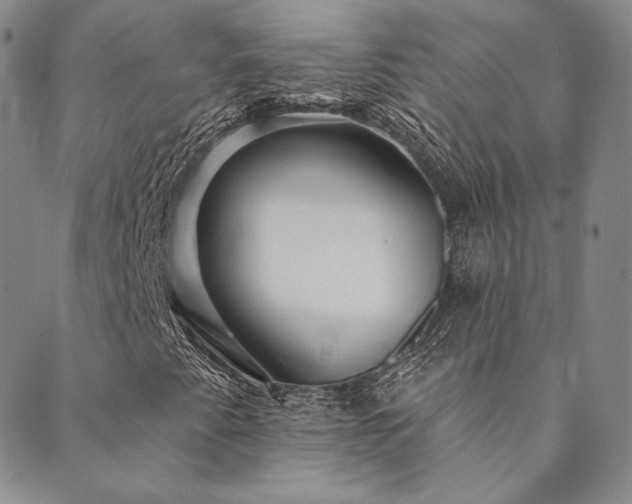 X0000089881345200706281339