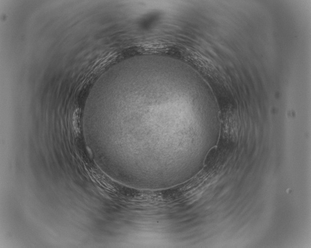 X0000089881346200706281339