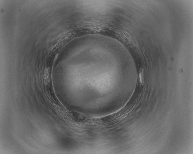 X0000089881347200706281339