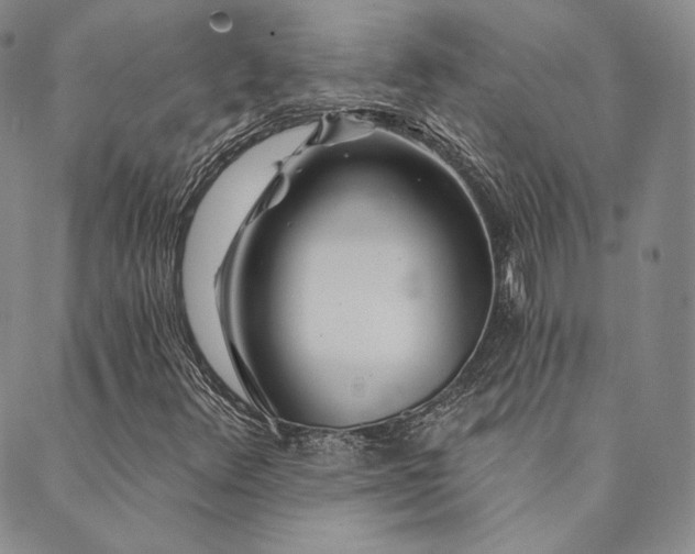 X0000089881348200706281339