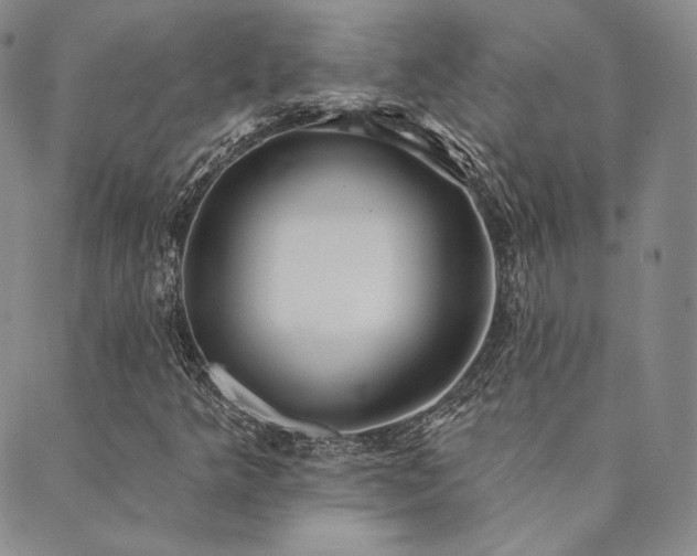 X0000089881349200706281339