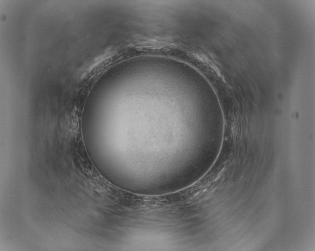 X0000089881350200706281339