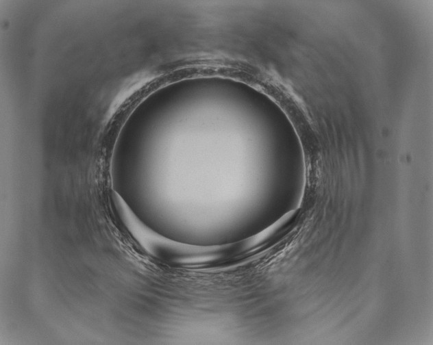 X0000089881352200706281339