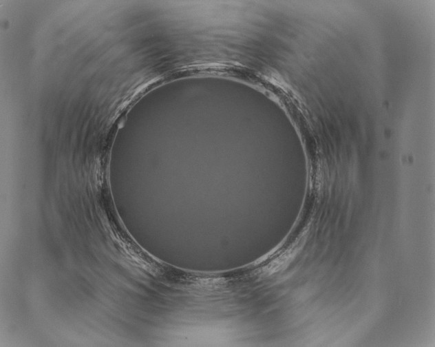 X0000089881353200706281339