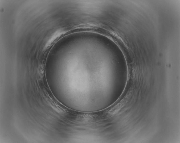 X0000089881355200706281339