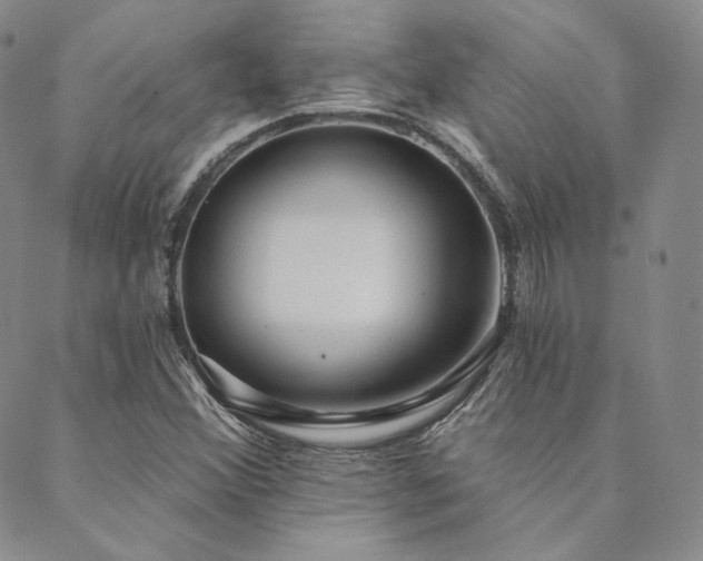 X0000089881356200706281339