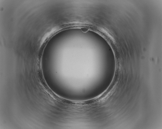 X0000089881357200706281339