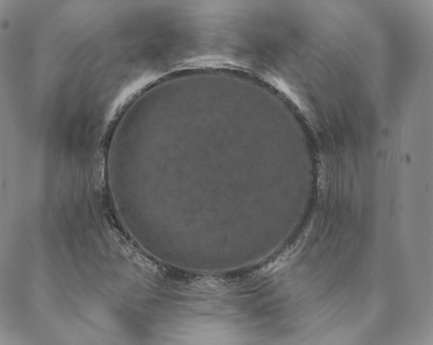 X0000089881358200706281339