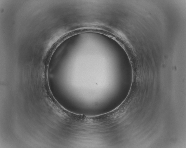 X0000089881360200706281339