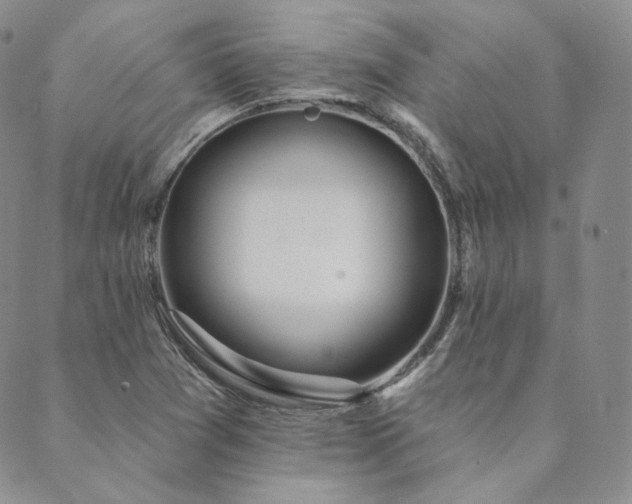 X0000089881361200706281339