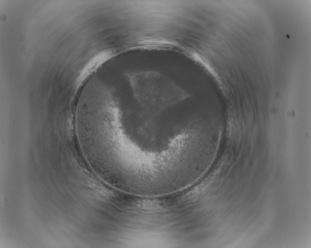 X0000089881362200706281339