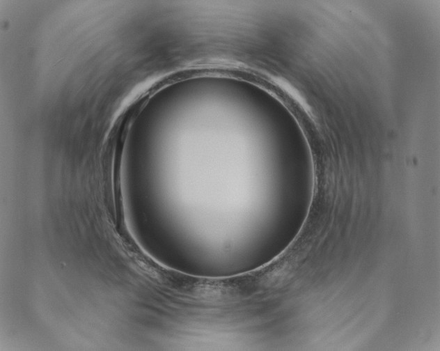 X0000089881364200706281339