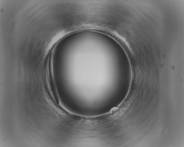 X0000089881365200706281339