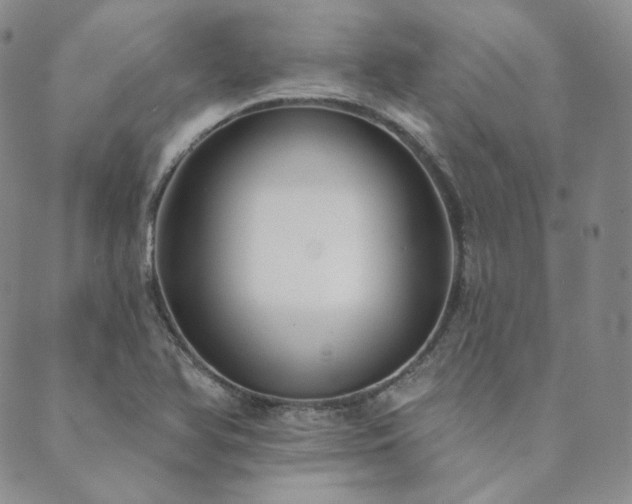 X0000089881366200706281339