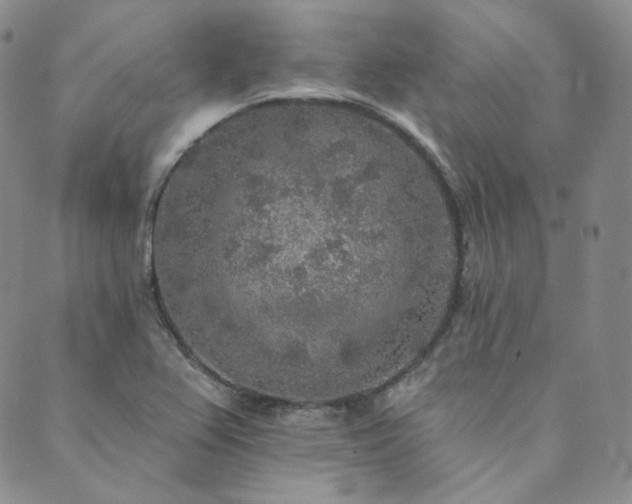 X0000089881367200706281339