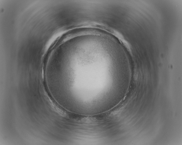 X0000089881368200706281339