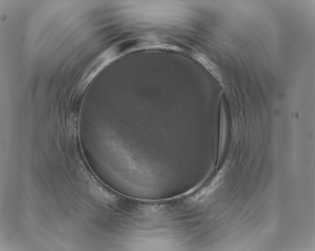 X0000089881369200706281339