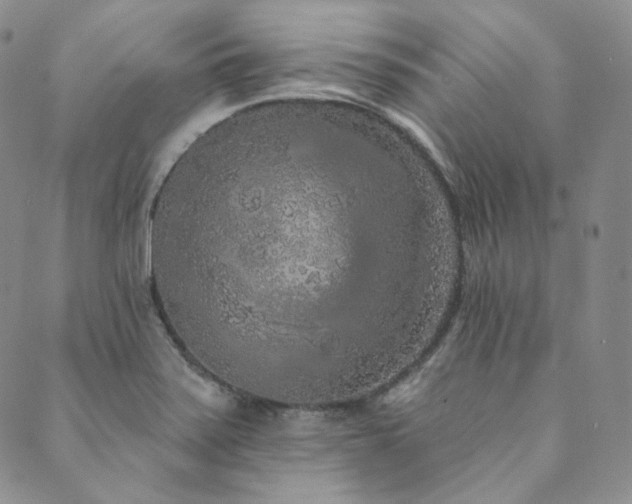 X0000089881371200706281339