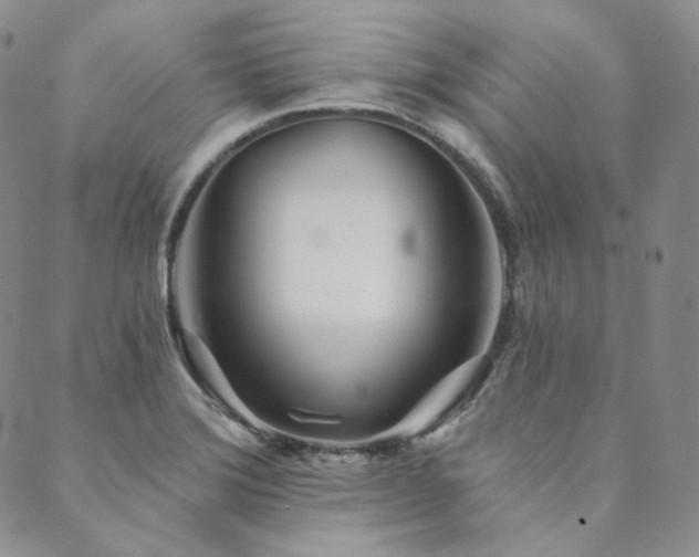 X0000089881372200706281339