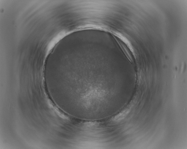 X0000089881373200706281339