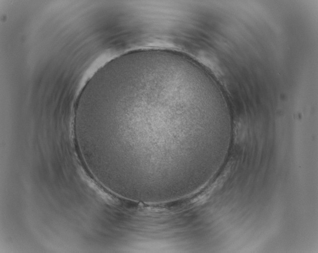 X0000089881374200706281339